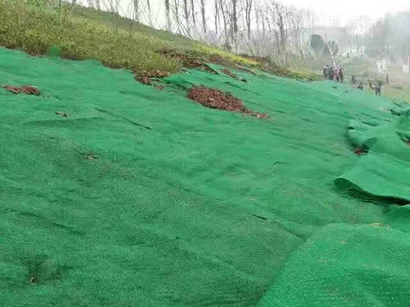 软式透水管施工